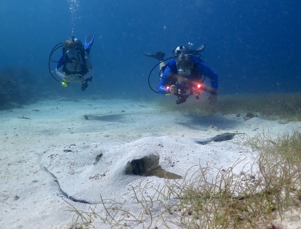 Scuba