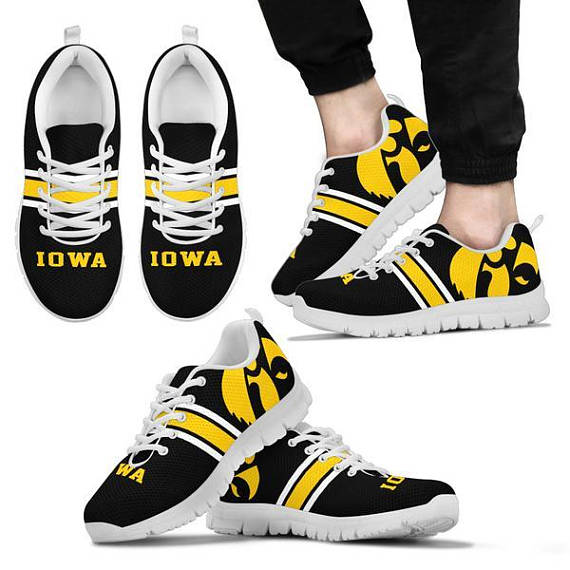 hawkeyes1.jpg