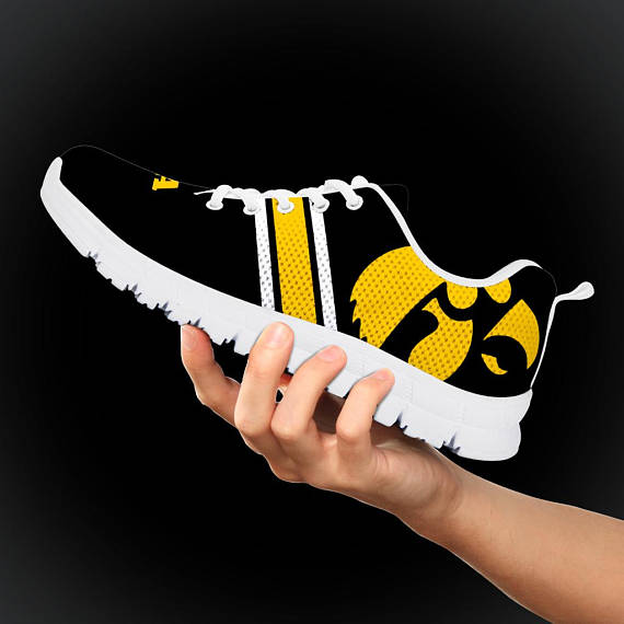 hawkeyes4.jpg