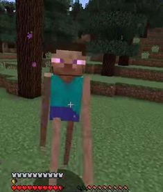 minecraft5