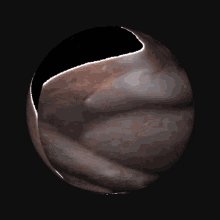 Monkey Orb