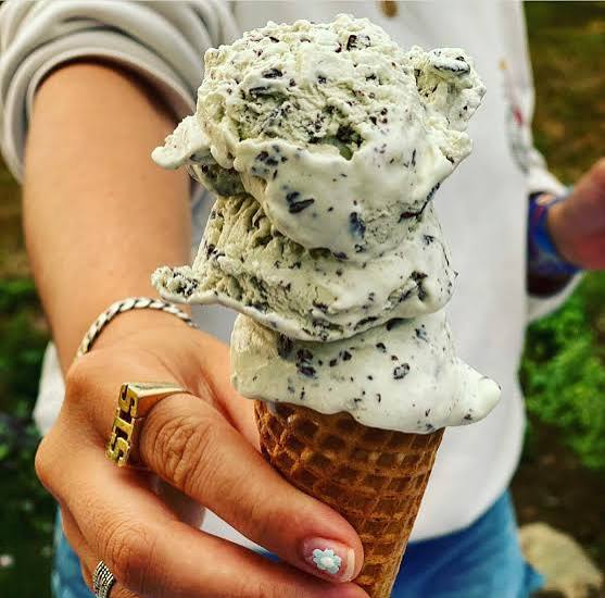 Mint Chocolate Chip